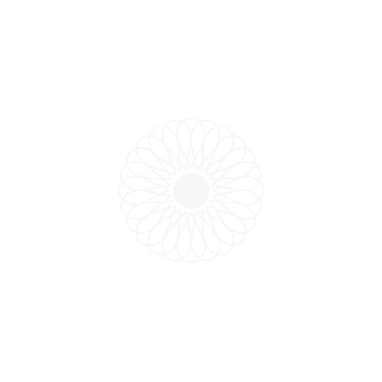 Home – Conscious Celebration