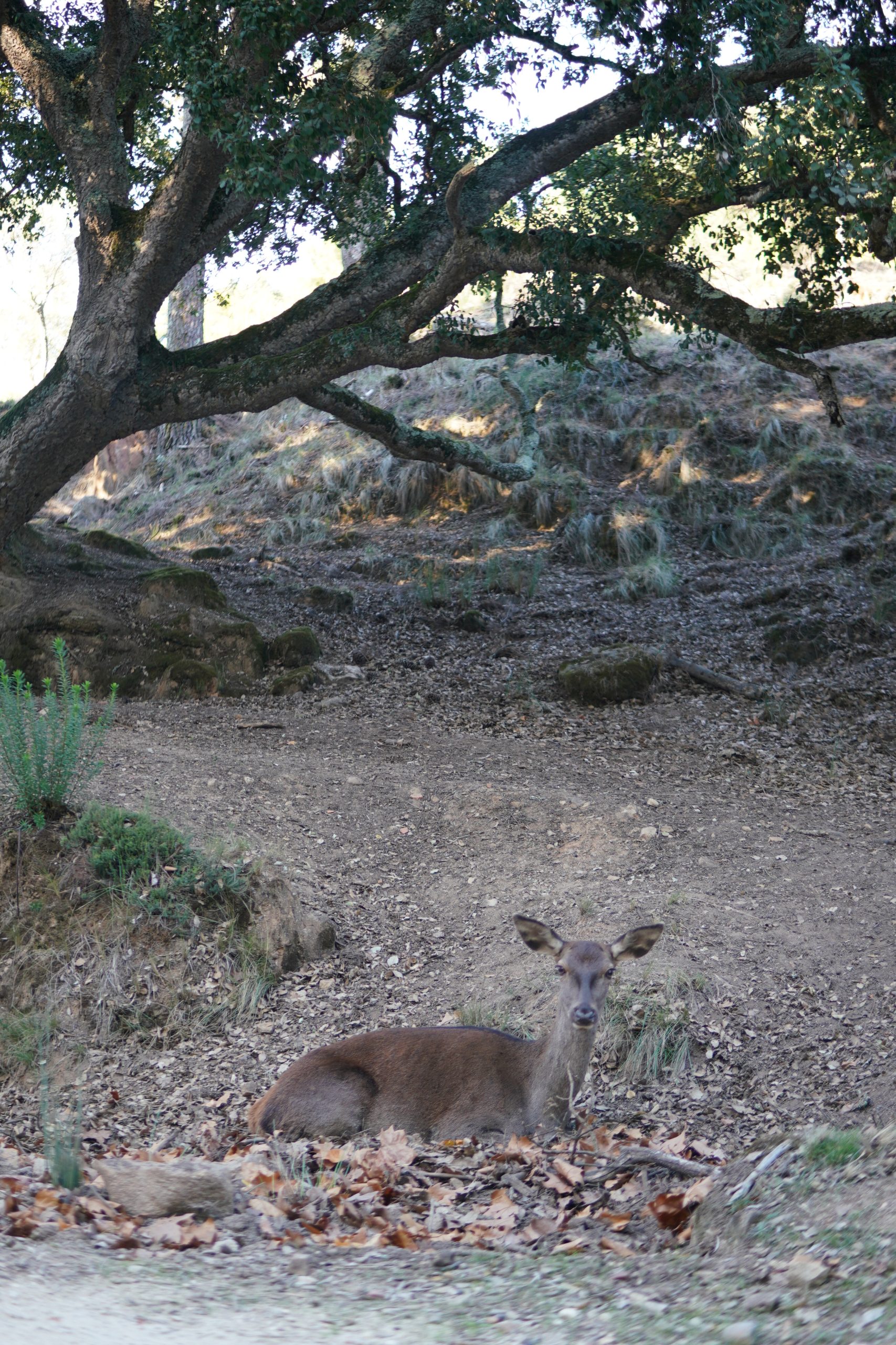 Exploring Silence Retreat