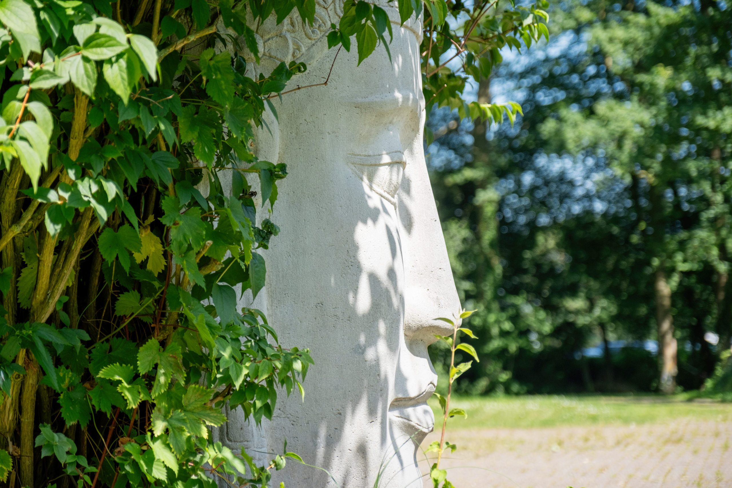 Veränderung annehmen: Skulptur im Grünen Helles steinernes Gesicht zwischen grünen Blättern im Sonnenlicht.